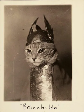 an old photo of a tabby cat in a viking helmet and a sequined cape, captioned brünnhilde